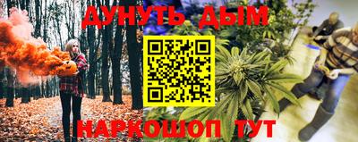 apvp Партизанск